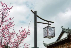 多彩贵州·第十四届中国原生态国际摄影大展 · 神州影者 的图集
