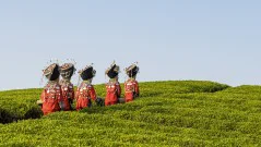多彩贵州·第十四届中国原生态国际摄影大展 · 行摄@贵州 的图集