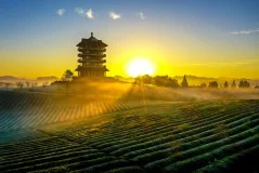 多彩贵州·第十四届中国原生态国际摄影大展 · 周访华 的图集
