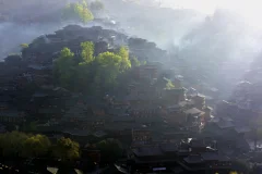 多彩贵州·第十四届中国原生态国际摄影大展 · 紫蝶视角 的图集