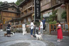 多彩贵州·第十四届中国原生态国际摄影大展 · 傅彧 的图集