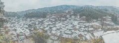 多彩贵州·第十四届中国原生态国际摄影大展 · 老不朽 的图集