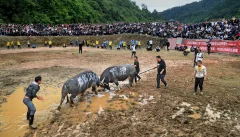 多彩贵州·第十四届中国原生态国际摄影大展 · 许银琴 的图集