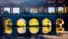 2023多彩贵州·第十六届中国原生态国际摄影大展 · 张从文 的图集