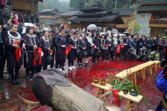 多彩贵州·第十四届中国原生态国际摄影大展 · 郑波 的图集