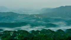 多彩贵州·第十四届中国原生态国际摄影大展 · 祥哥 的图集