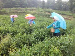 多彩贵州·第十四届中国原生态国际摄影大展 · 山民师 的图集