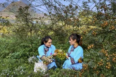 2025多彩贵州·第十八届中国原生态国际摄影大展 · 冰多水的心 的图集