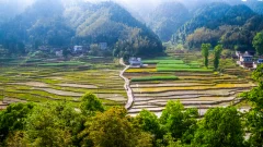 第十五届多彩贵州·中国原生态国际摄影大展·”空中瞰贵州”主题征稿 · 大庄的汉子 的图集
