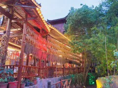 多彩贵州·第十四届中国原生态国际摄影大展 · Roye罗小悠 的图集