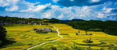 多彩贵州·第十四届中国原生态国际摄影大展 · 秀摄黔景 的图集