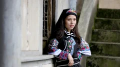 多彩贵州·第十四届中国原生态国际摄影大展 · 流浪枫叶 的图集
