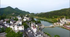 多彩贵州·第十四届中国原生态国际摄影大展 · 流浪枫叶 的图集