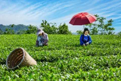 多彩贵州·第十四届中国原生态国际摄影大展 · 光影之旅 的图集