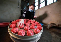多彩贵州·第十四届中国原生态国际摄影大展 · 大圣归来玩摄影 的图集
