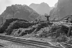 《别了，黔桂老铁路》
