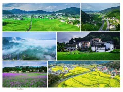 多彩贵州·第十四届中国原生态国际摄影大展 · 光影之旅 的图集