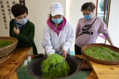 多彩贵州·第十四届中国原生态国际摄影大展 · xqy5778 的图集