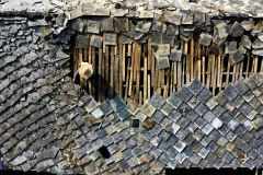 2025多彩贵州·第十八届中国原生态国际摄影大展 · 摄影师小质 的图集
