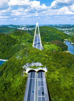 2023多彩贵州·第十六届中国原生态国际摄影大展 · 陈林 的图集