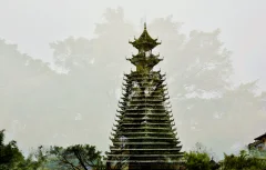 多彩贵州·第十四届中国原生态国际摄影大展 · 紫蝶视角 的图集