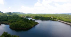 多彩贵州·第十四届中国原生态国际摄影大展 · 流浪枫叶 的图集