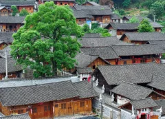 2025多彩贵州·第十八届中国原生态国际摄影大展展览 · 摄影大展官方客服 的图集