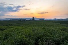 多彩贵州·第十四届中国原生态国际摄影大展 · 汪继业 的图集