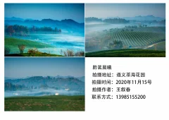 多彩贵州·第十四届中国原生态国际摄影大展 · 春春 的图集