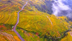 第十五届多彩贵州·中国原生态国际摄影大展·”空中瞰贵州”主题征稿 · 寻觅乡愁 的图集