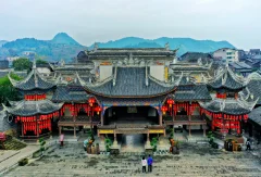 2025多彩贵州·第十八届中国原生态国际摄影大展 · 巴西铁 的图集