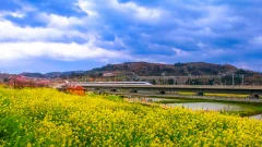 2023多彩贵州·第十六届中国原生态国际摄影大展 · 张从文 的图集