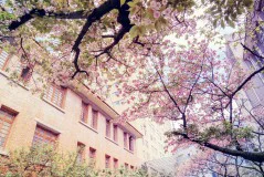 多彩贵州·第十四届中国原生态国际摄影大展 · 风雨断肠人 的图集