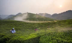 多彩贵州·第十四届中国原生态国际摄影大展 · 张燕 的图集