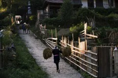 多彩贵州·第十四届中国原生态国际摄影大展 · 帕米尔 的图集