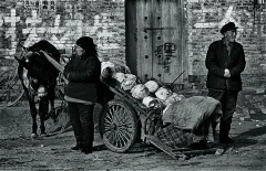 《黄河人家》