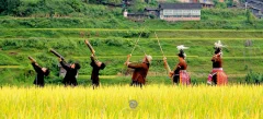 2024多彩贵州·第十七届中国原生态国际摄影大展展览 · 摄影大展官方客服 的图集