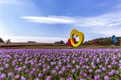 多彩贵州·第十四届中国原生态国际摄影大展 · 范晖 的图集
