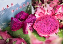 多彩贵州·第十四届中国原生态国际摄影大展 · 张燕 的图集