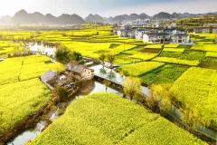 ​2024多彩贵州·第十七届中国原生态国际摄影大展 · 朱进 的图集