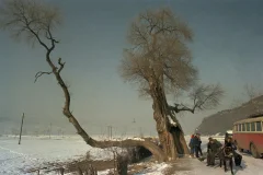 《雪野》