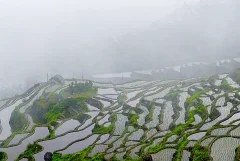 多彩贵州·第十四届中国原生态国际摄影大展 · 萧佟 的图集