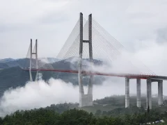 2023多彩贵州·第十六届中国原生态国际摄影大展 · 叶子烟 的图集