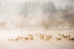 《天地之间》