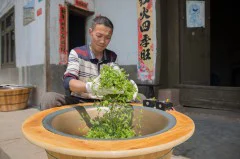 多彩贵州·第十四届中国原生态国际摄影大展 · 走在左边 的图集