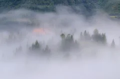 多彩贵州·第十四届中国原生态国际摄影大展 · 杨明亮 的图集