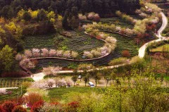 多彩贵州·第十四届中国原生态国际摄影大展 · 方圆 的图集