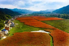 多彩贵州·第十四届中国原生态国际摄影大展 · 七星漂 的图集