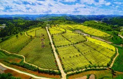 多彩贵州·第十四届中国原生态国际摄影大展 · 健摄者 的图集