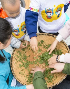 多彩贵州·第十四届中国原生态国际摄影大展 · 张燕 的图集